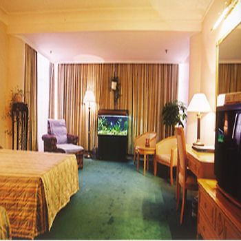 Torch Hotel Urumqi Bilik gambar